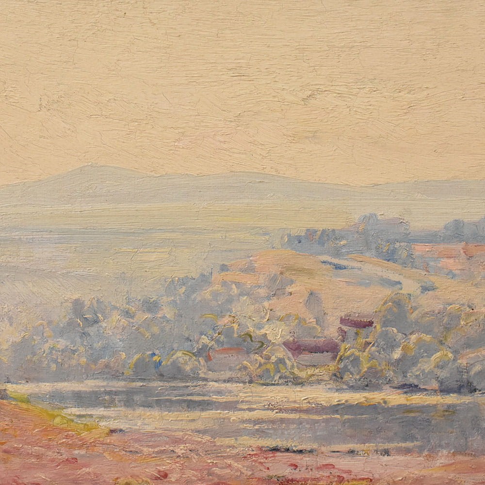 QP780 5a antique oil painting landscape natural painting XIX